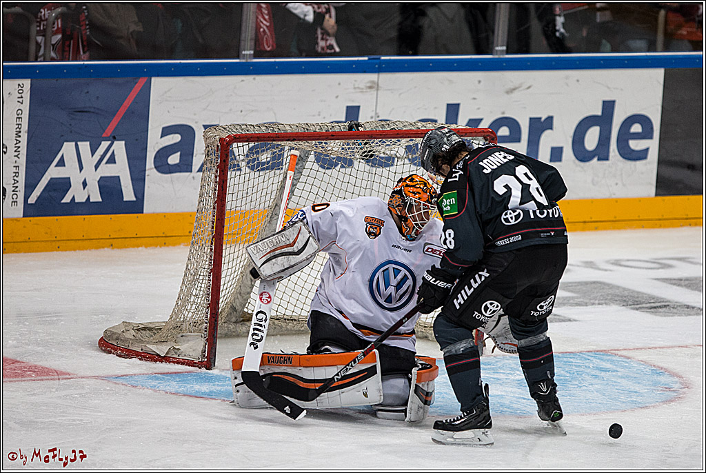 DEL, Koelner Haie - Grizzlys Wolfsburg, 21.02.2017